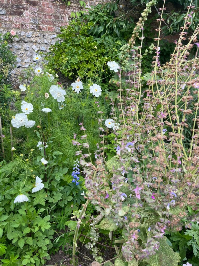 Londres Blomsburry avec KITOKO11